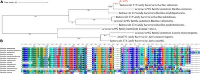 A novel of new class II bacteriocin from Bacillus velezensis HN-Q-8 and its antibacterial activity on Streptomyces <mark class="highlighted">scabies</mark>